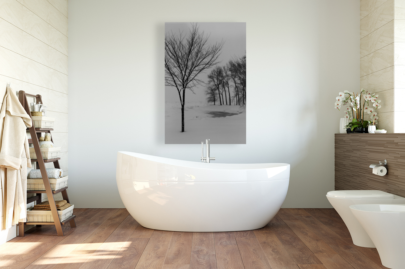 Winter trees Reproduction