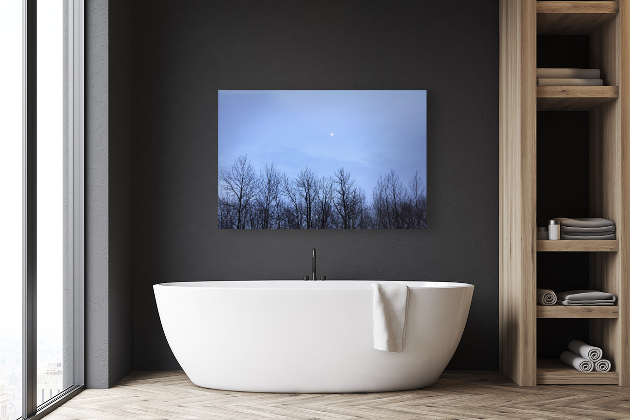 Moon in blue Reproduction