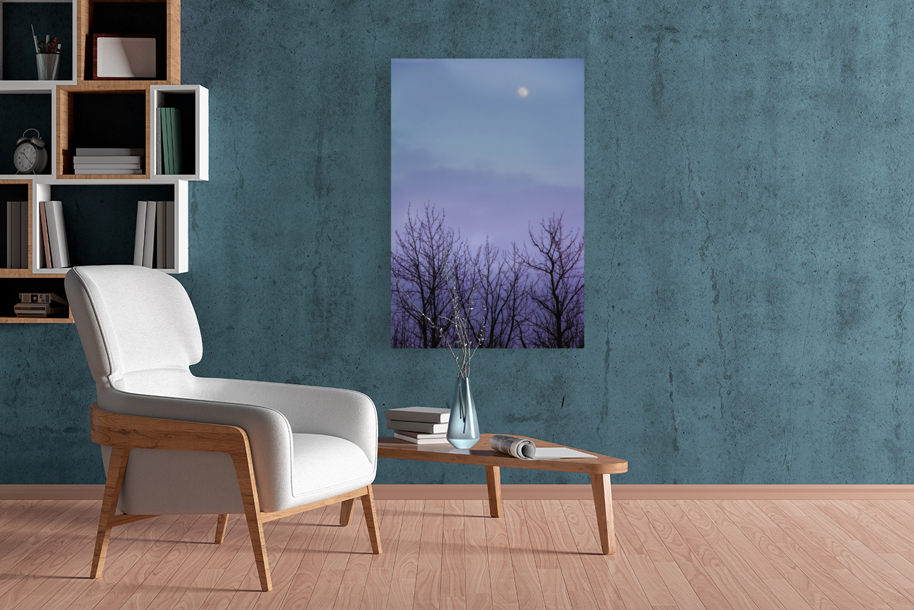 pink sky moon Reproduction