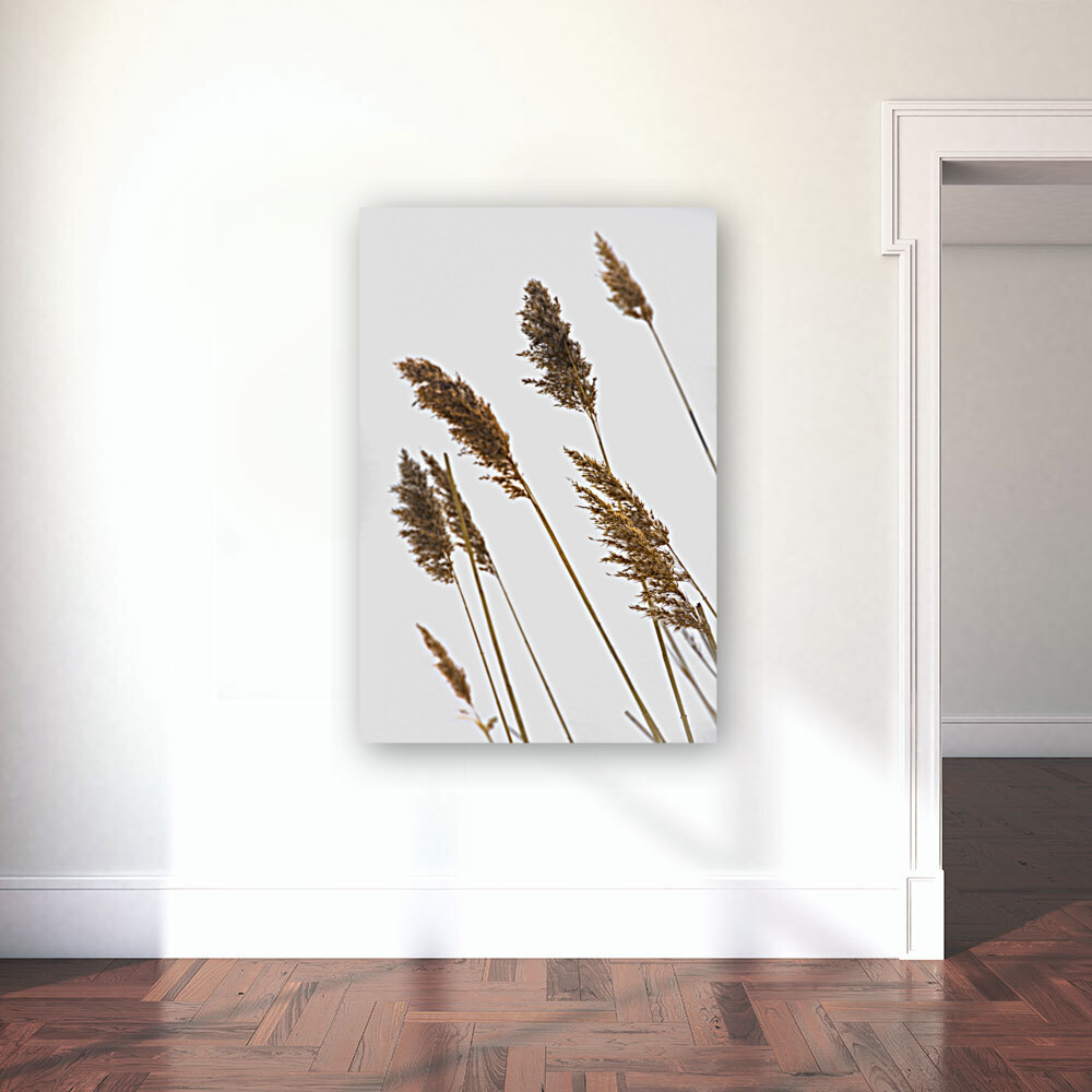 Plumeaux1 Reproduction