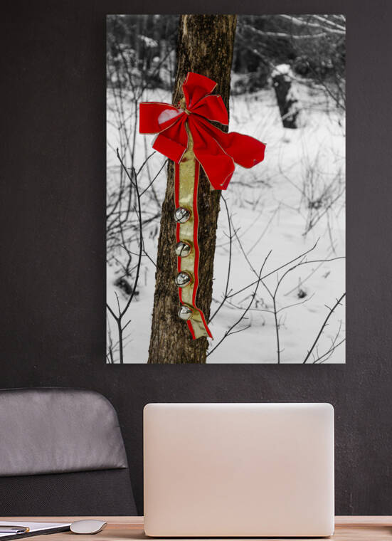 Christmas decoration by POPPYPhotographie