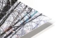 Arbres tempete HD Metal print