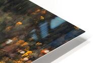 Foggy trees HD Metal print