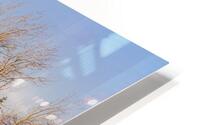 Sunset in snow HD Metal print