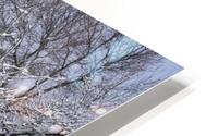 Winter HD Metal print