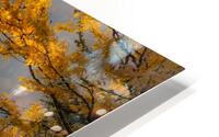 Brume matinale HD Metal print