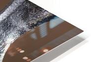 Marteau closeup HD Metal print
