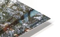 Rando HD Metal print