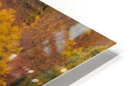 Immersion HD Metal print