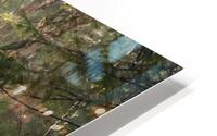 Foret feerique  HD Metal print