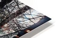 Divin HD Metal print