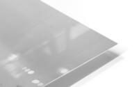 Medium NB HD Metal print