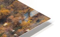 Fall HD Metal print
