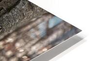 Tree trunk HD Metal print