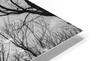 Veins HD Metal print