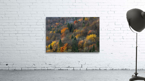 Automne Wall Preview
