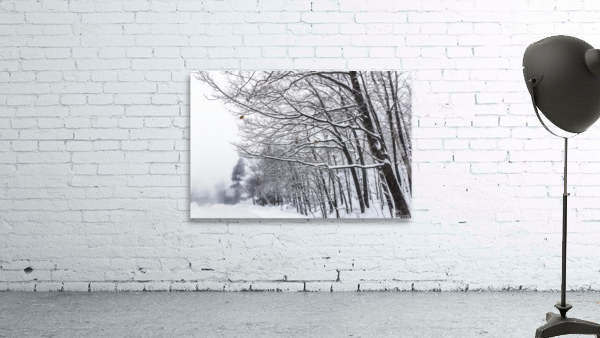 Arbres tempete Wall Preview