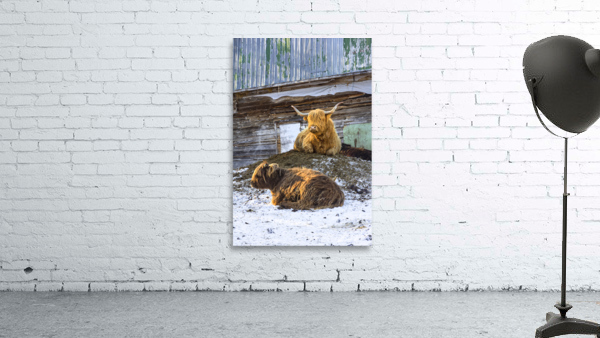 Highland2 Wall Preview
