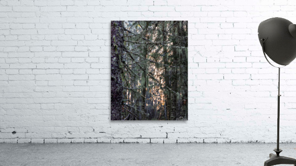 Branchages Wall Preview