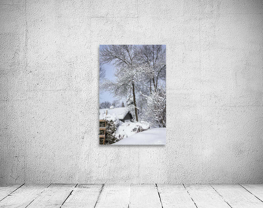 Winter Wall Preview