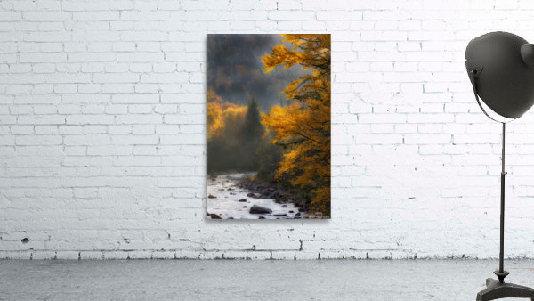 Brume matinale Wall Preview