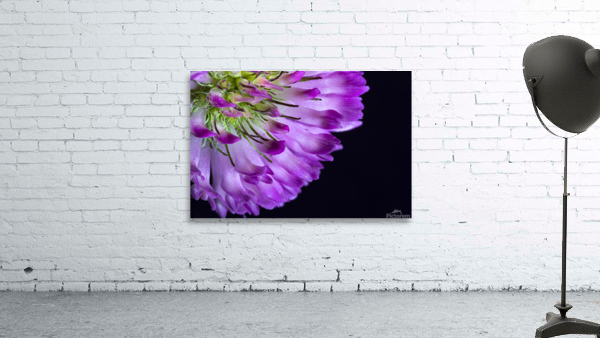 coeur de fleur Wall Preview
