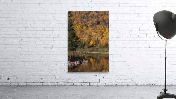 Fall Wall Preview