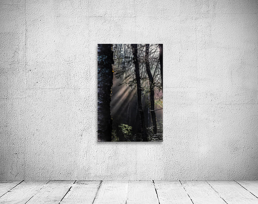 Divin Wall Preview