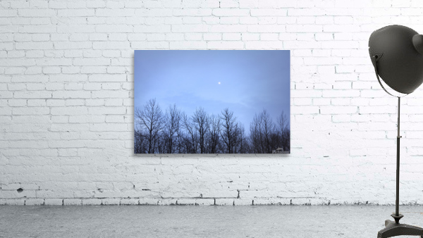 Moon in blue Wall Preview