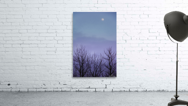 pink sky moon Wall Preview