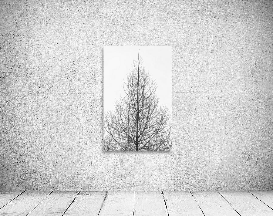 Naked tree Wall Preview