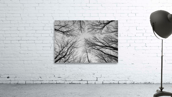 Veins Wall Preview