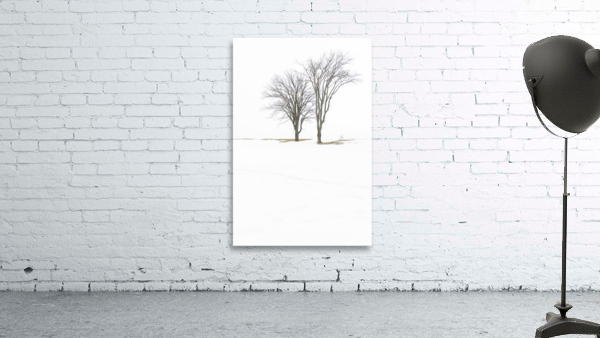 Only 2 Wall Preview