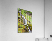 Oregon Waterfall Acrylic Print