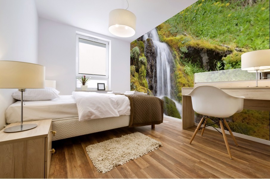 Oregon Waterfall Mural print