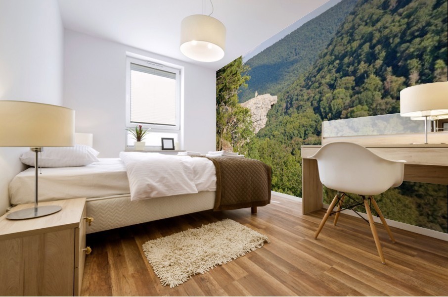Whittaker Point II Mural print
