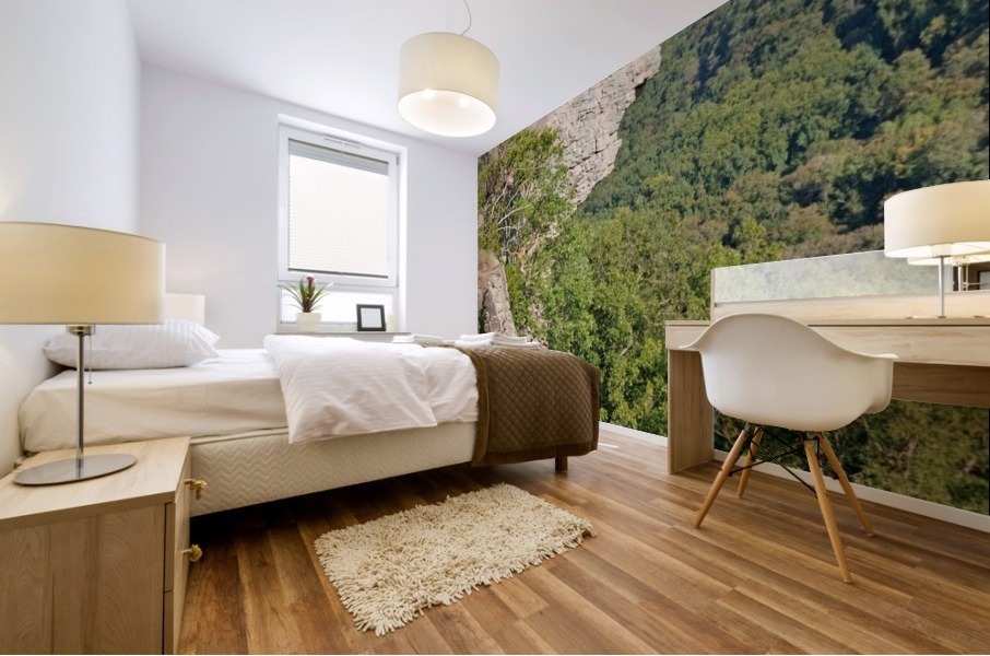 Whittaker Point Mural print