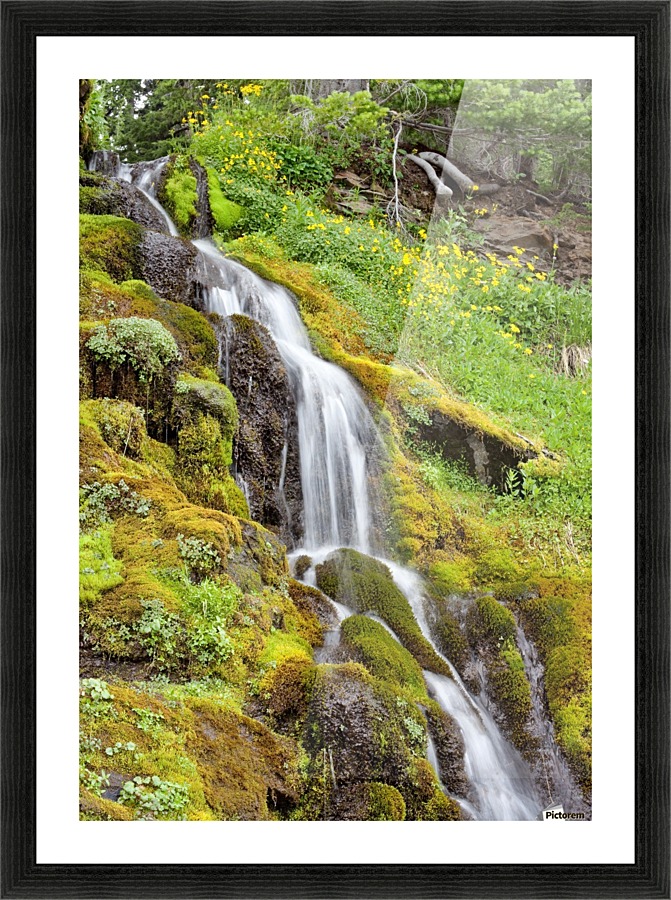 Oregon Waterfall Picture Frame print