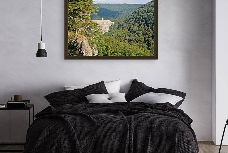 Whittaker Point II Reproduction