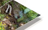 Oregon Waterfall HD Metal print