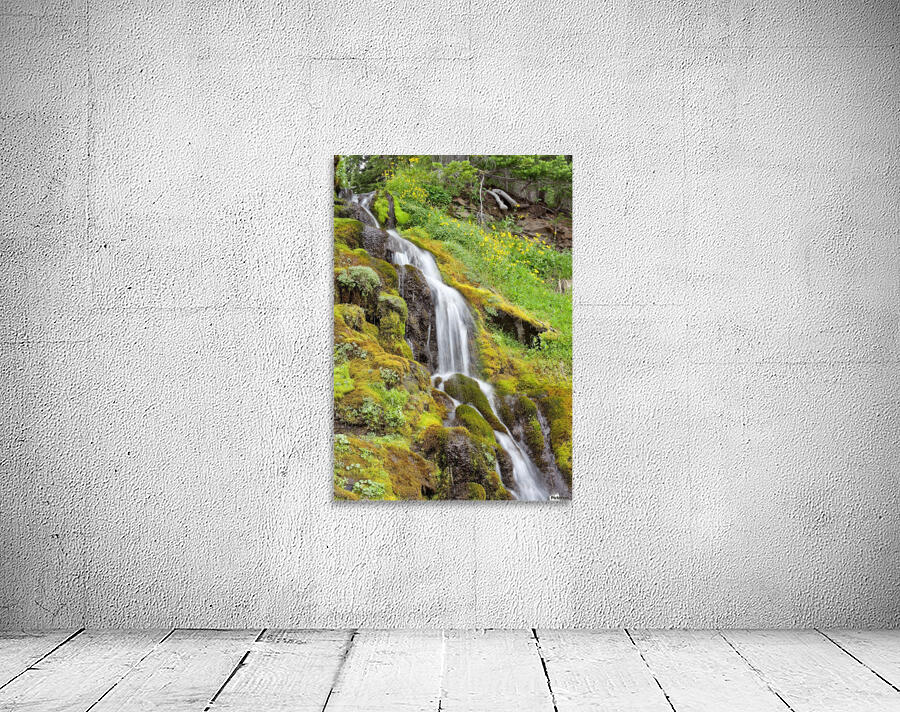 Oregon Waterfall Wall Preview