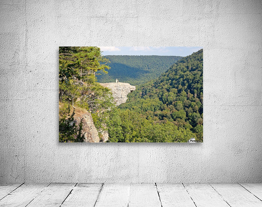 Whittaker Point II Wall Preview