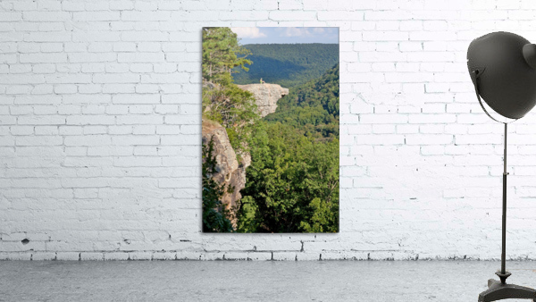 Whittaker Point Wall Preview
