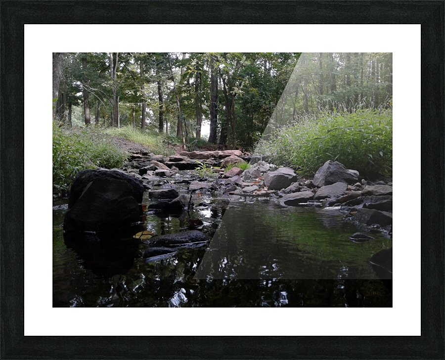 20170920_152548 Picture Frame print