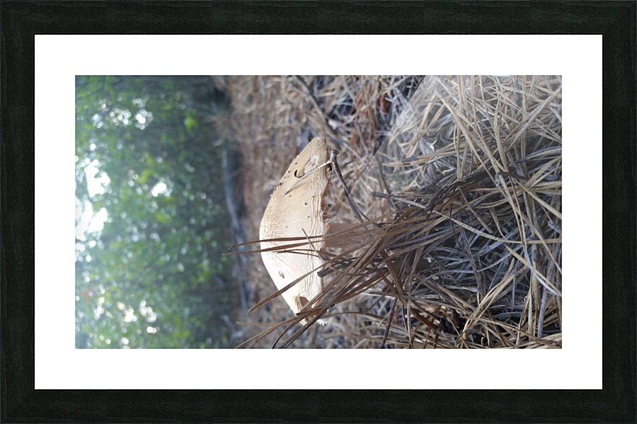 20140816_173723 Picture Frame print