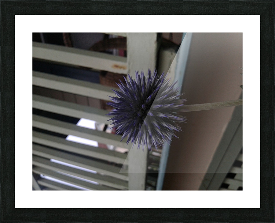 20170927_171815 Picture Frame print