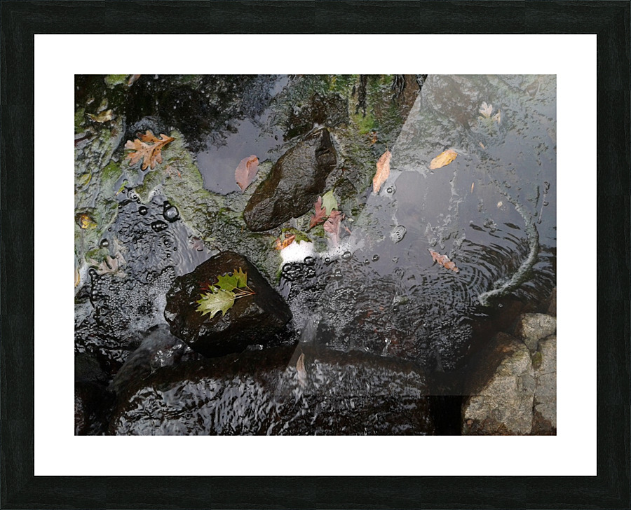 20170920_152709 Picture Frame print