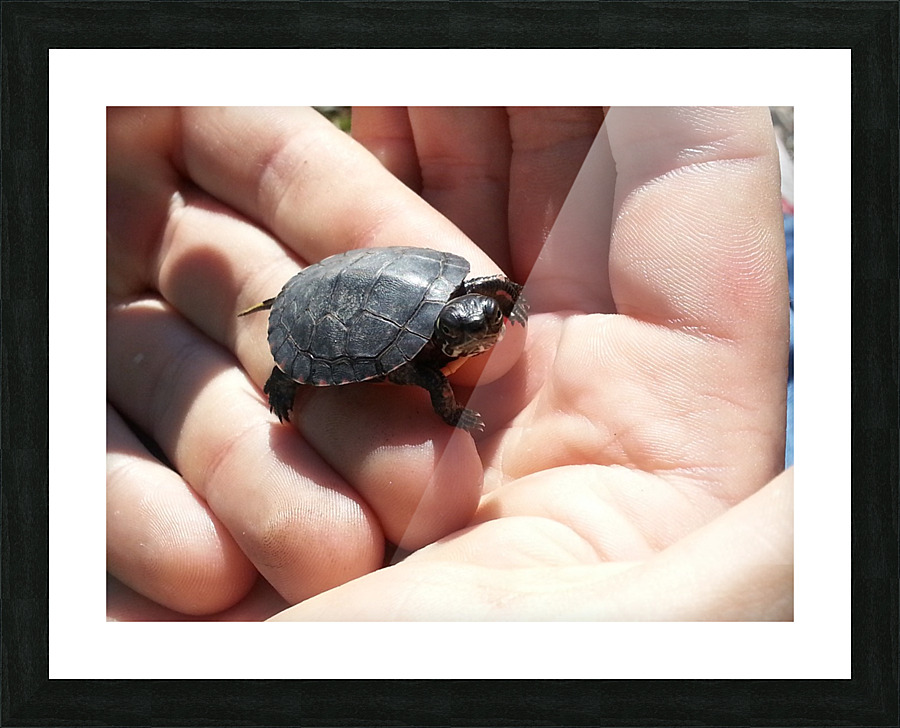 20130503_161137 Picture Frame print