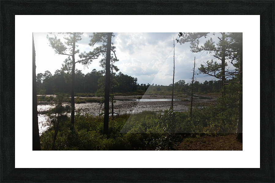 20140831_171522 Picture Frame print