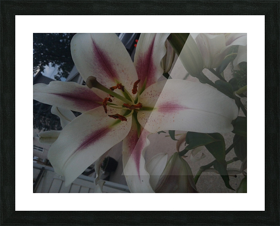20170715_194459 Picture Frame print